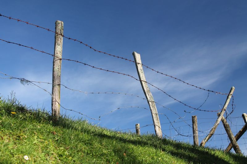 Cattle Fence Installation in Albany