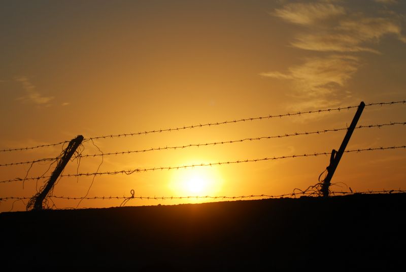 Wire Fence Installation