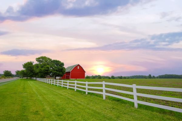 Farm Fencing Installation in Albany