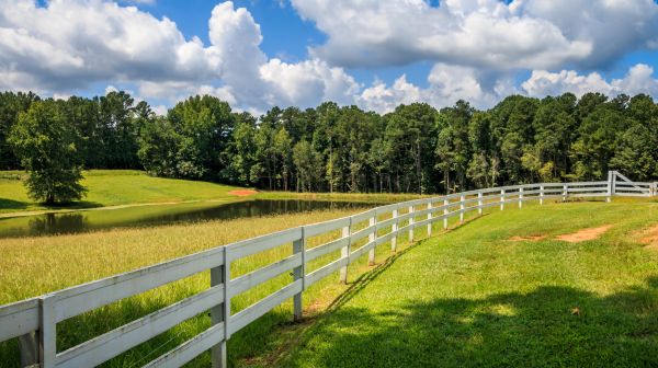 Pasture Fence Installation in Albany