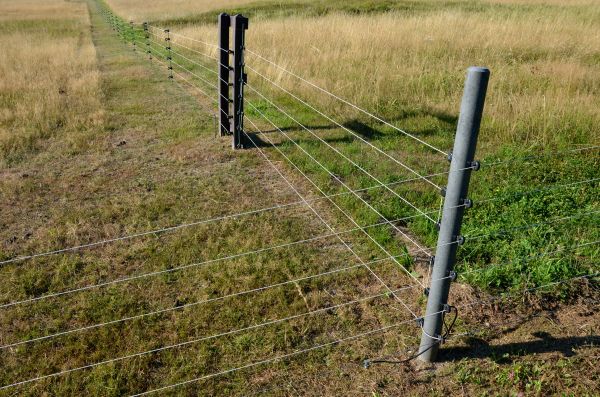 T Post Fence Installation in Albany