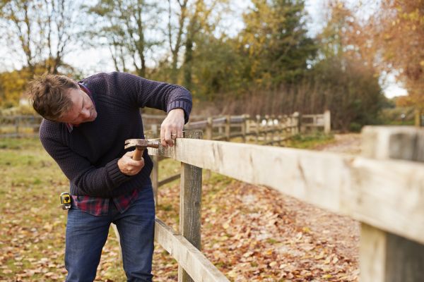 Fence Post Replacement in Albany