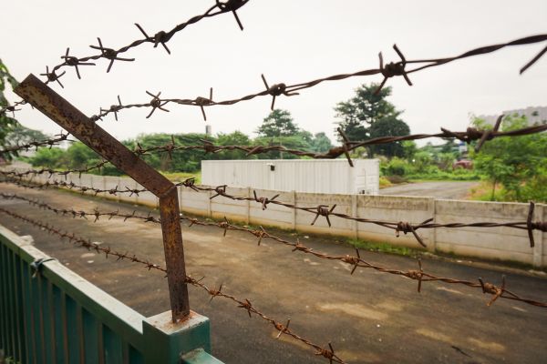 Field Fencing Service in Albany