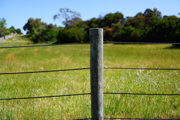 Farm Fencing Service in Albany