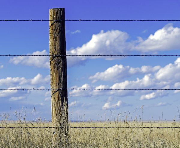Barbed Wire Fence Installation in Albany