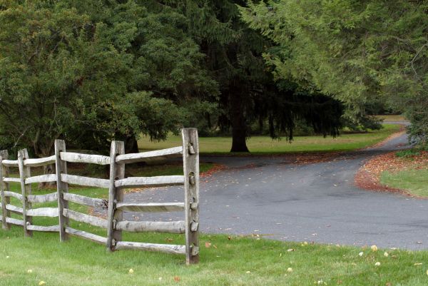 Split Rail Fence Installation in Albany