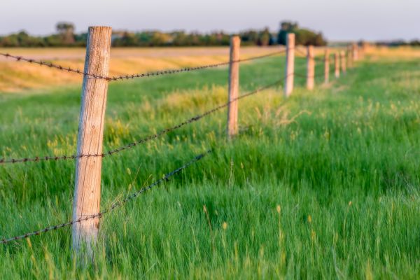 Horse Fence Installation in Albany