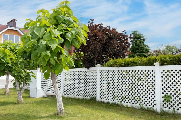 Vinyl Fence Service in Albany