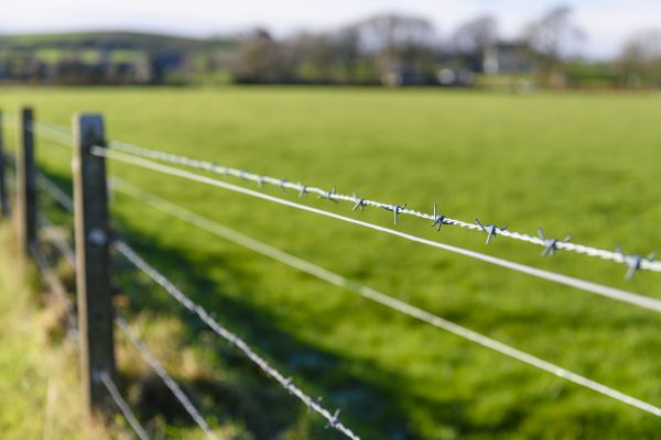 Game Fence Installation in Albany