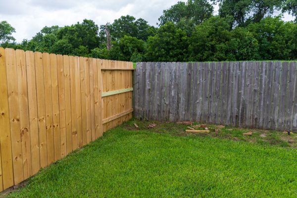 Privacy Fence Replacement in Albany
