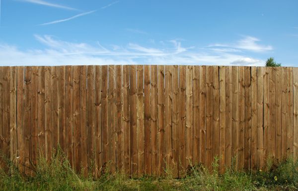 Pine Fence Installation in Albany