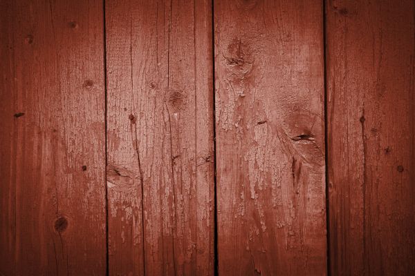 Redwood Fence Installation in Albany