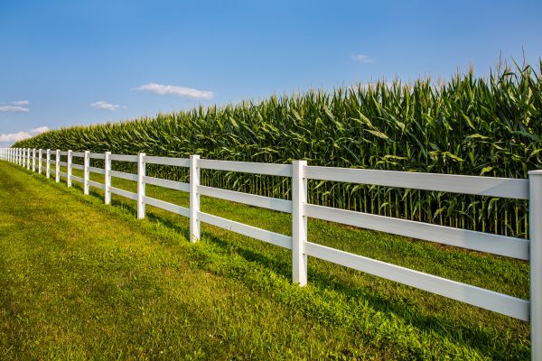 Rail Fence Repair in Albany