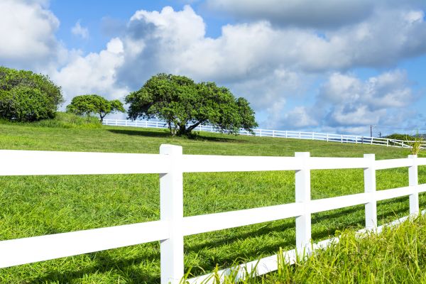 Pasture Fence Construction