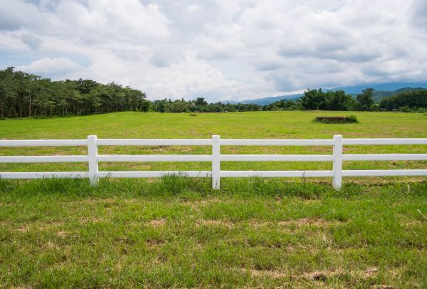 Field Fence Repair in Albany