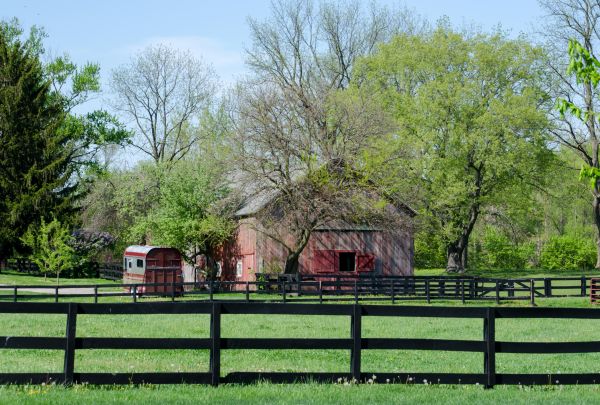 Horse Paddock Repair in Albany