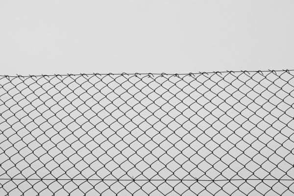 Mesh Fencing Installation in Albany