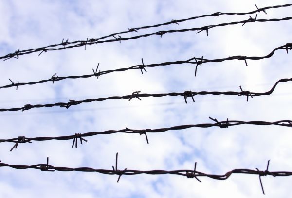 Barb Wire Fencing Repair Service