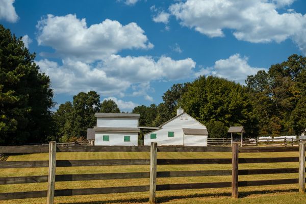 Wood Rail Fence Installation in Albany