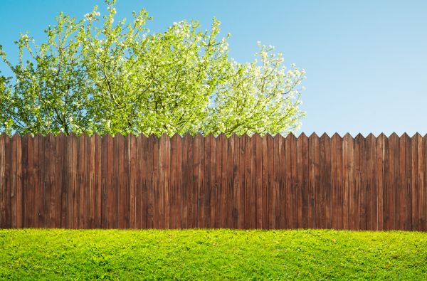 Solid Board Fence Installation in Albany