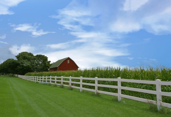 Rail Fence Construction in Albany