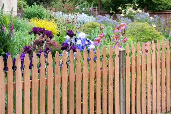 Wood Picket Fence Installation in Albany