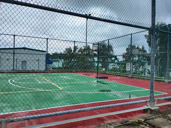 Iron Wire Fence Installation in Albany