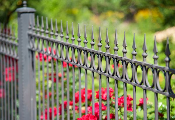 Iron Fencing Service in Albany