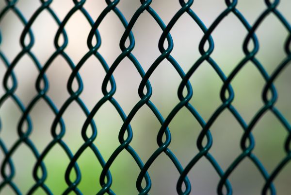 Vinyl Chain Link Fence Repair in Albany