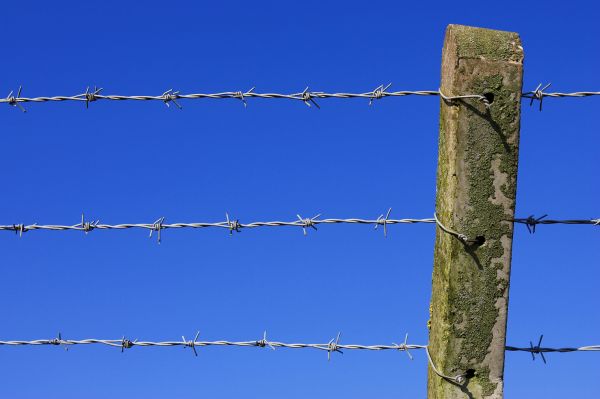 Barbed Wire Fence Replacement in Albany
