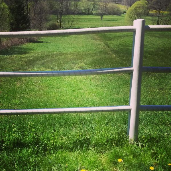 Cattle Fence Replacement in Albany