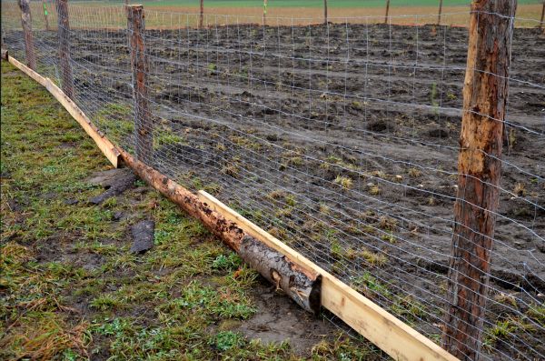 Deer Fencing Repair Service